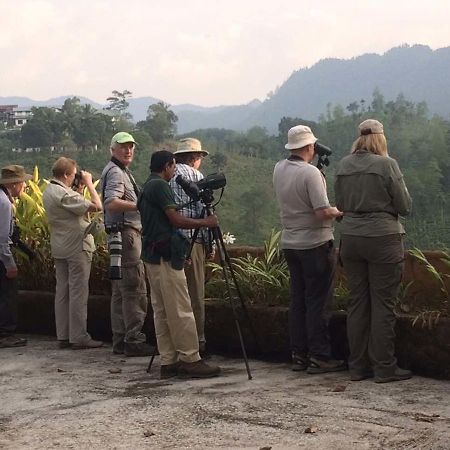 Rainforest Edge Weddagala Ngoại thất bức ảnh
