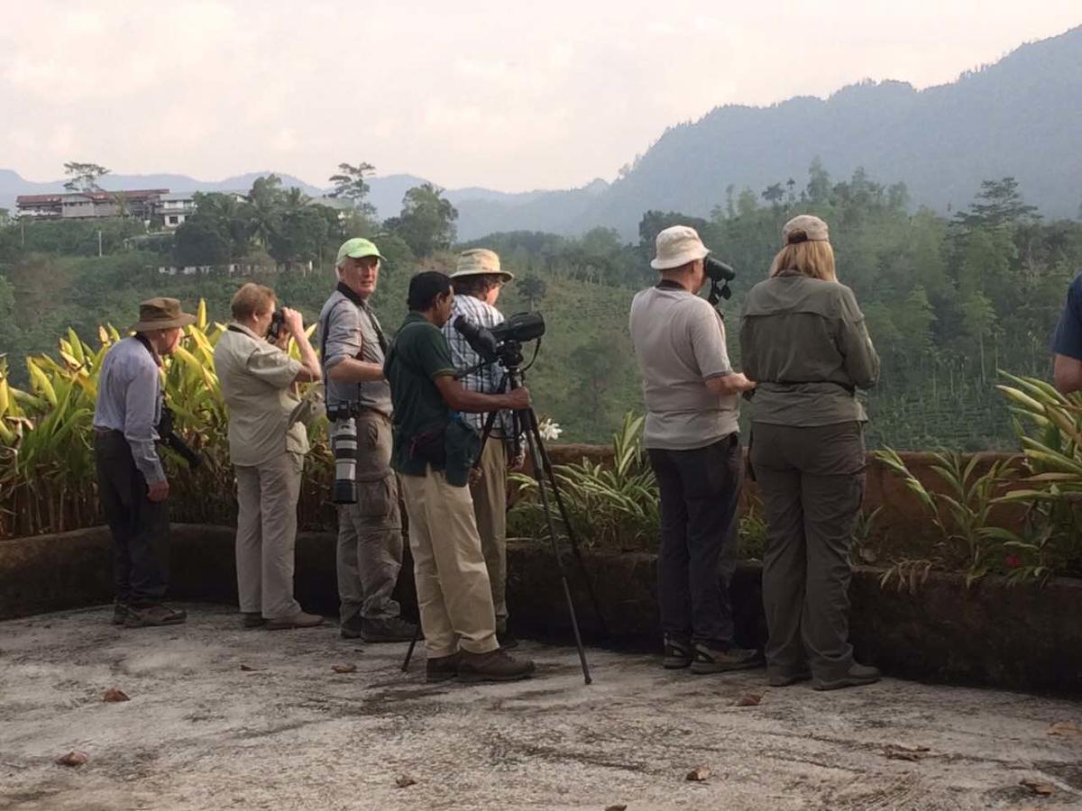 Rainforest Edge Weddagala Ngoại thất bức ảnh